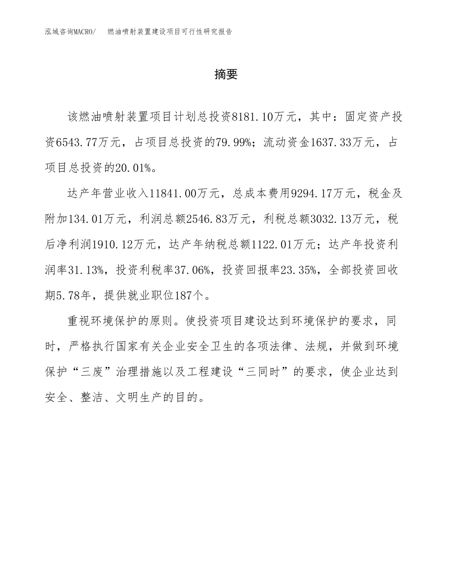 燃油喷射装置建设项目可行性研究报告模板               （总投资8000万元）_第2页