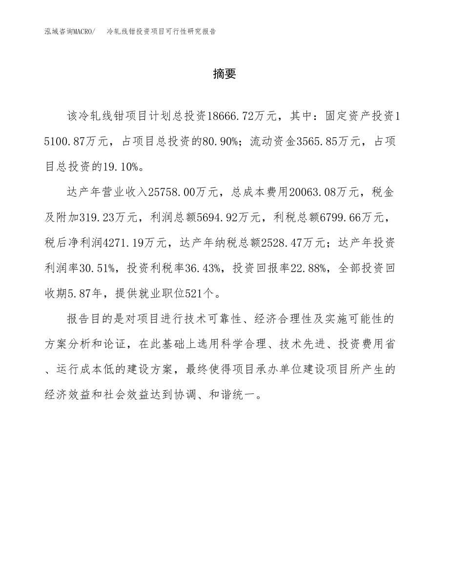 冷轧线钳投资项目可行性研究报告(参考模板分析).docx_第2页