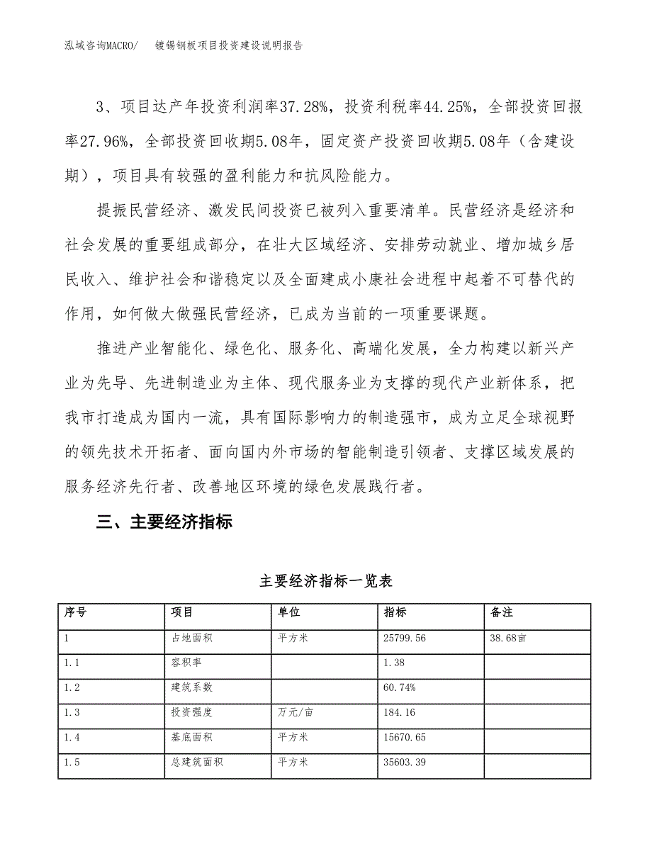 镀锡钢板项目投资建设说明报告.docx_第4页