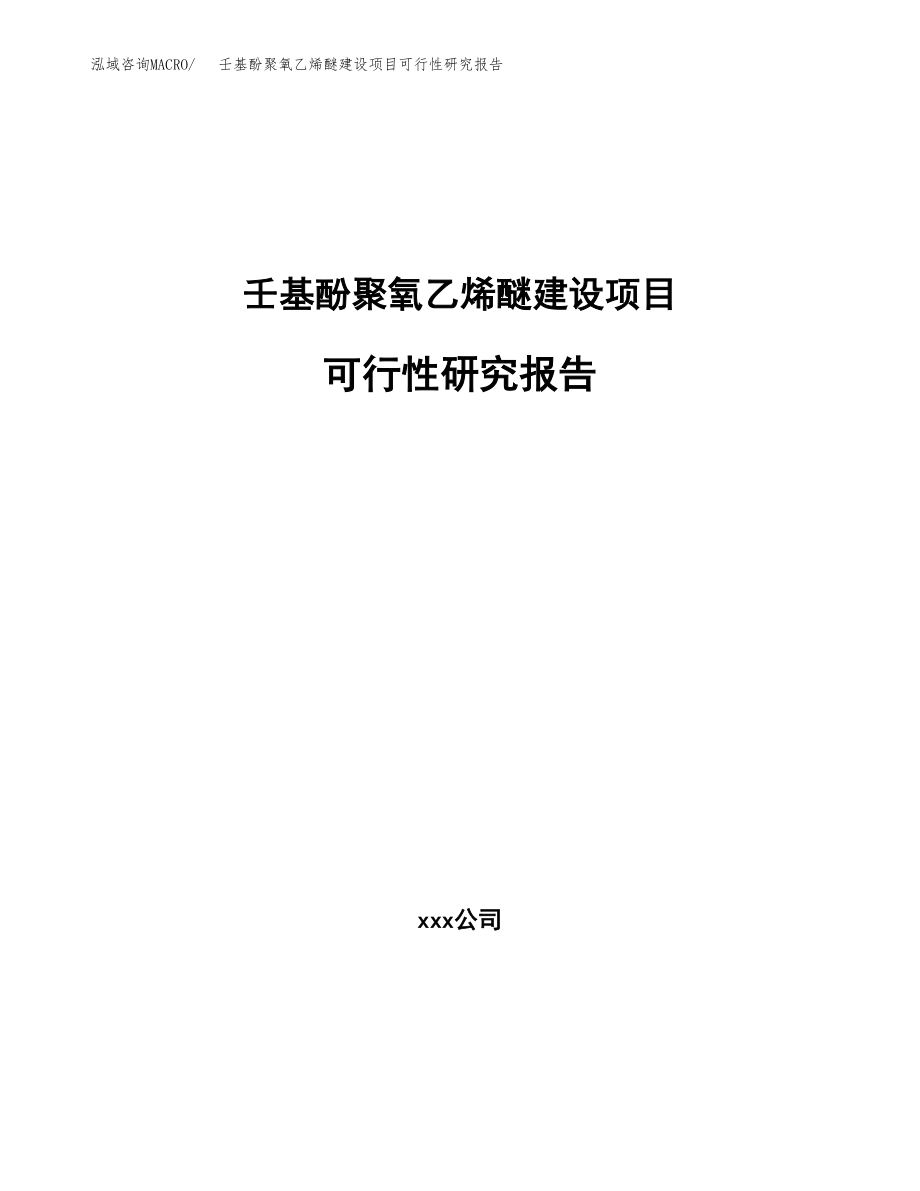 壬基酚聚氧乙烯醚建设项目可行性研究报告模板               （总投资4000万元）_第1页