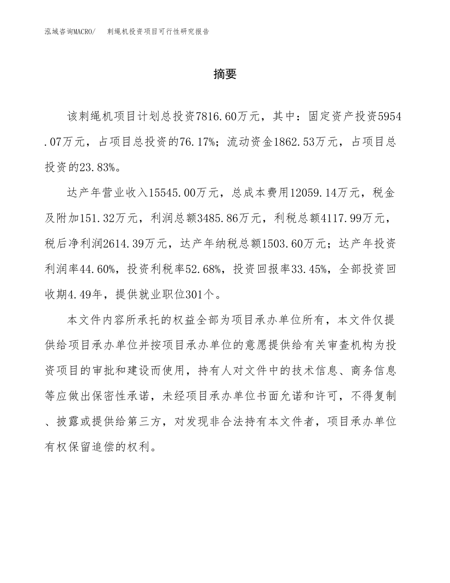 刺绳机投资项目可行性研究报告(参考模板分析).docx_第2页