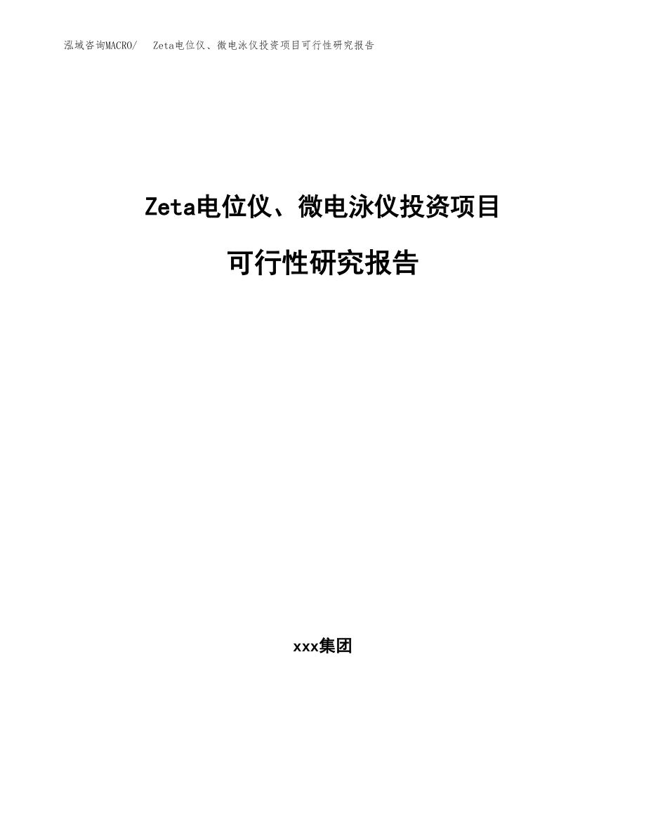 Zeta电位仪、微电泳仪投资项目可行性研究报告(参考模板分析).docx_第1页