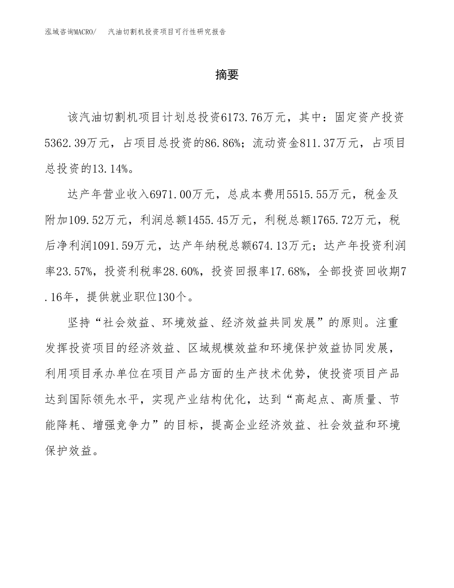 汽油切割机投资项目可行性研究报告(参考模板分析).docx_第2页