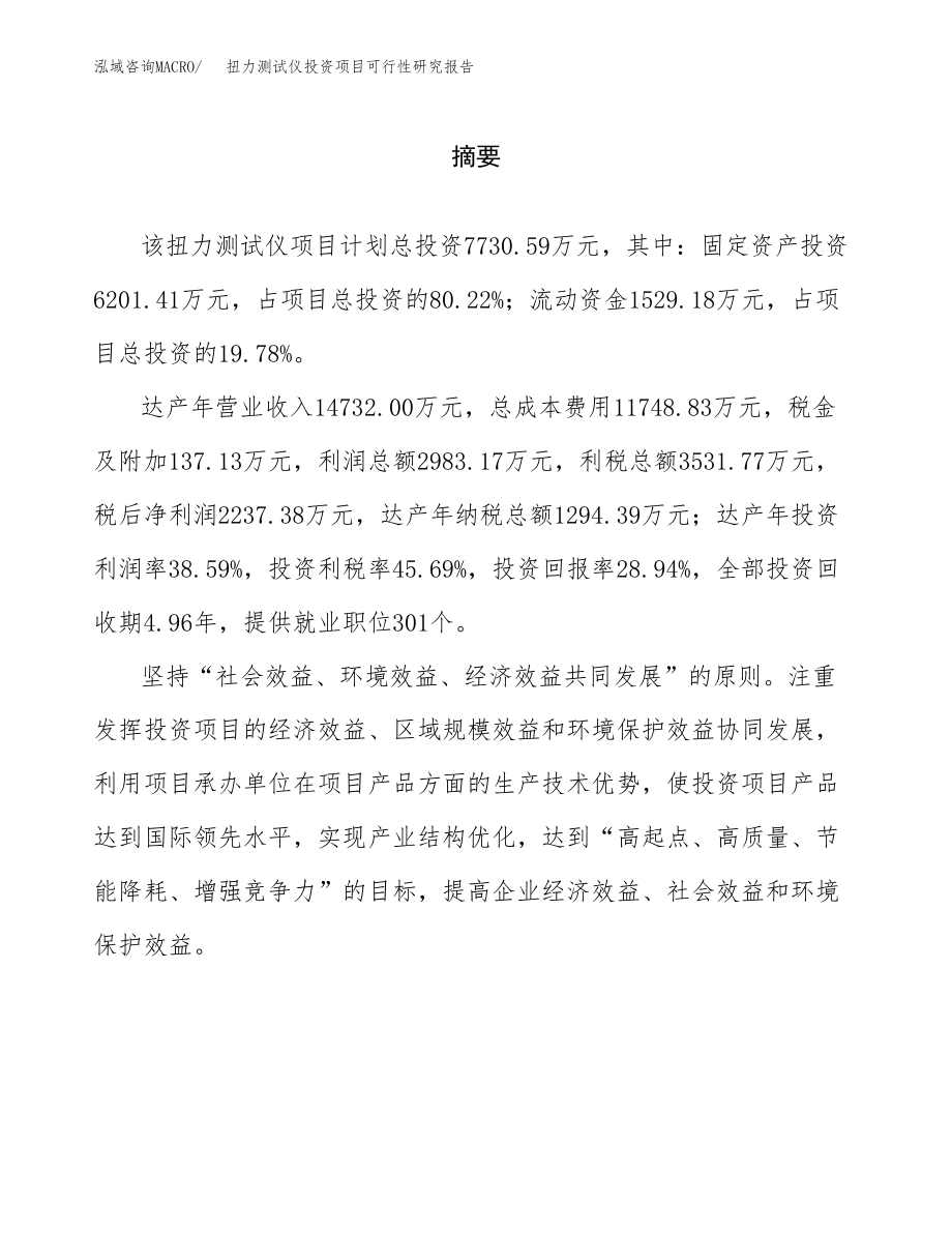 扭力测试仪投资项目可行性研究报告(参考模板分析).docx_第2页