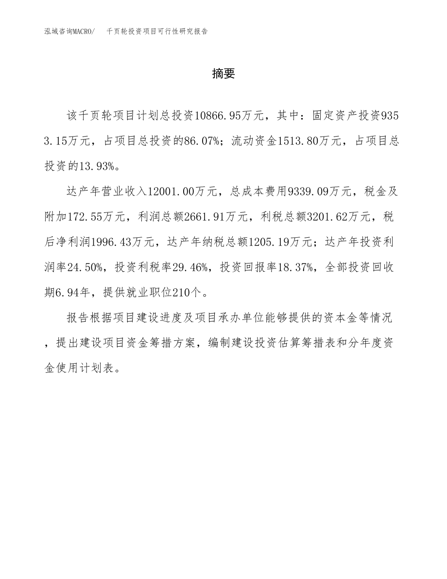 千页轮投资项目可行性研究报告(参考模板分析).docx_第2页