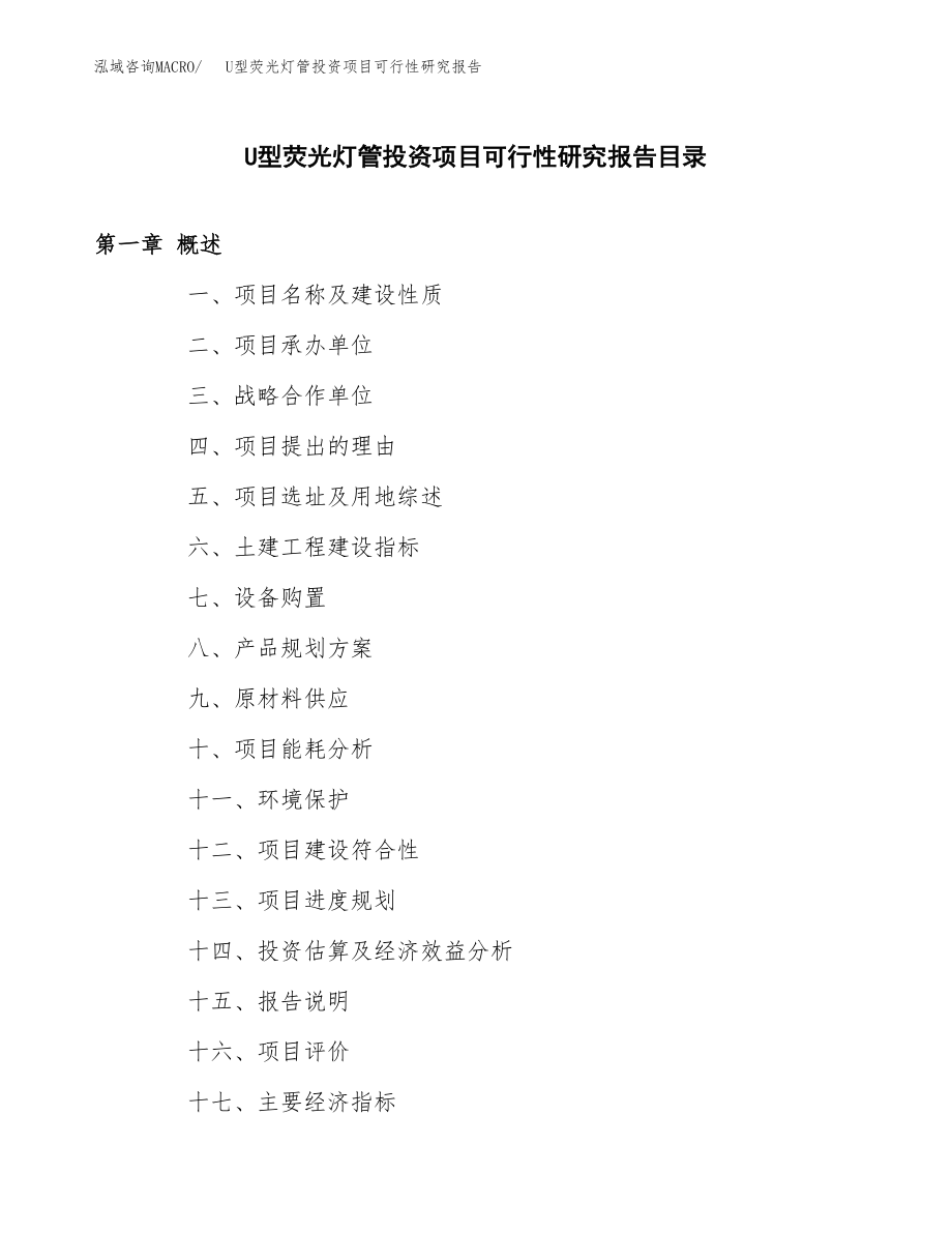 U型荧光灯管投资项目可行性研究报告(参考模板分析).docx_第3页