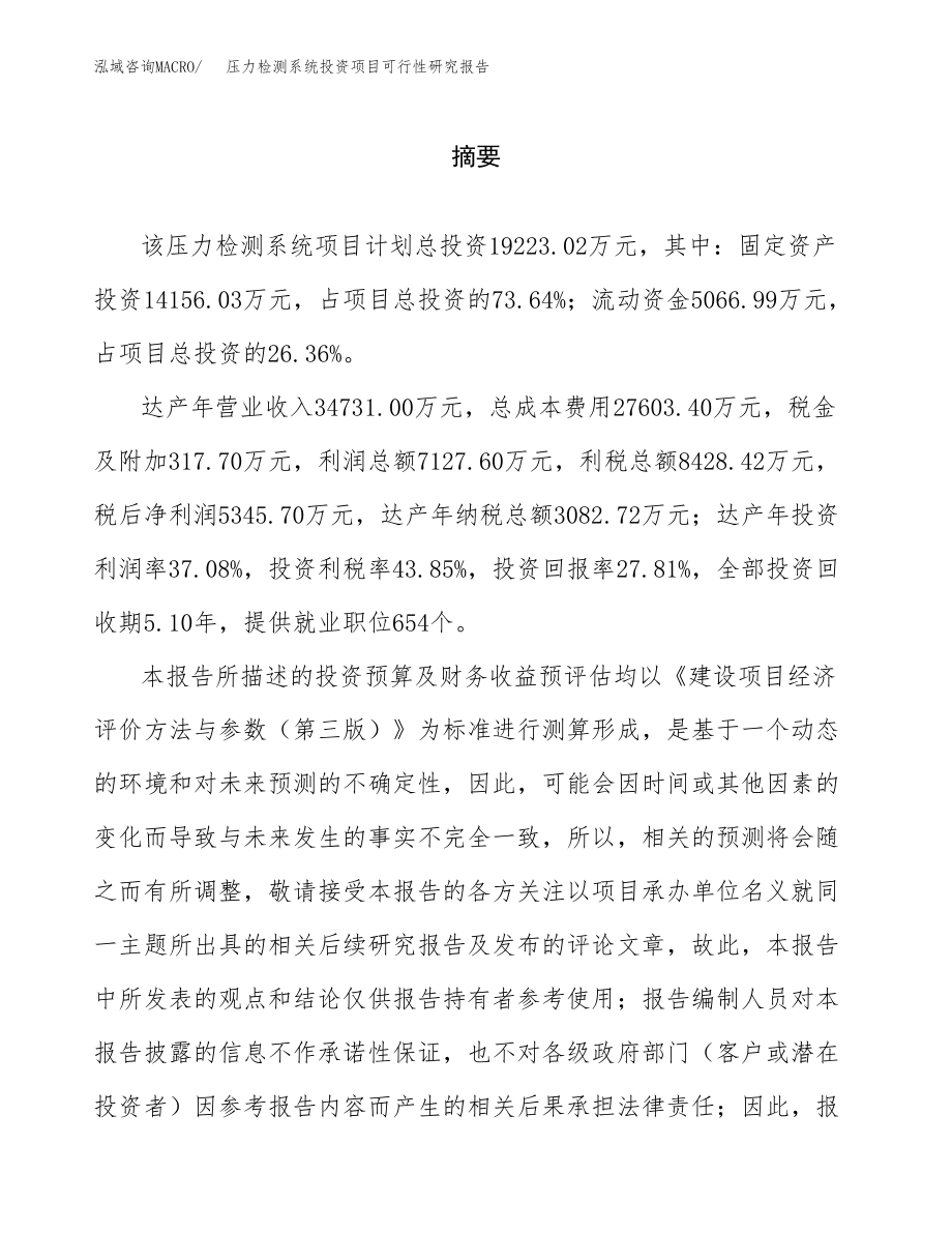 压力检测系统投资项目可行性研究报告(参考模板分析).docx_第2页