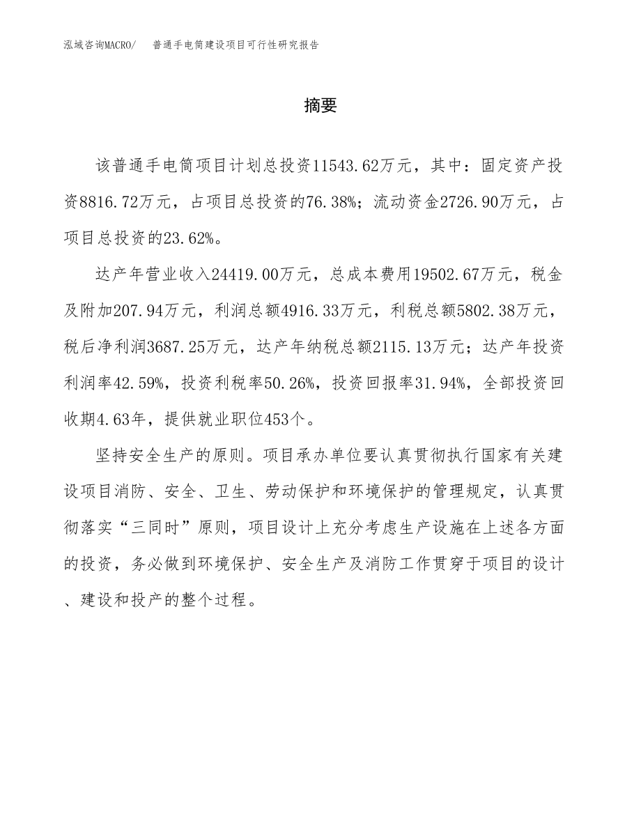 普通手电筒建设项目可行性研究报告模板               （总投资12000万元）_第2页