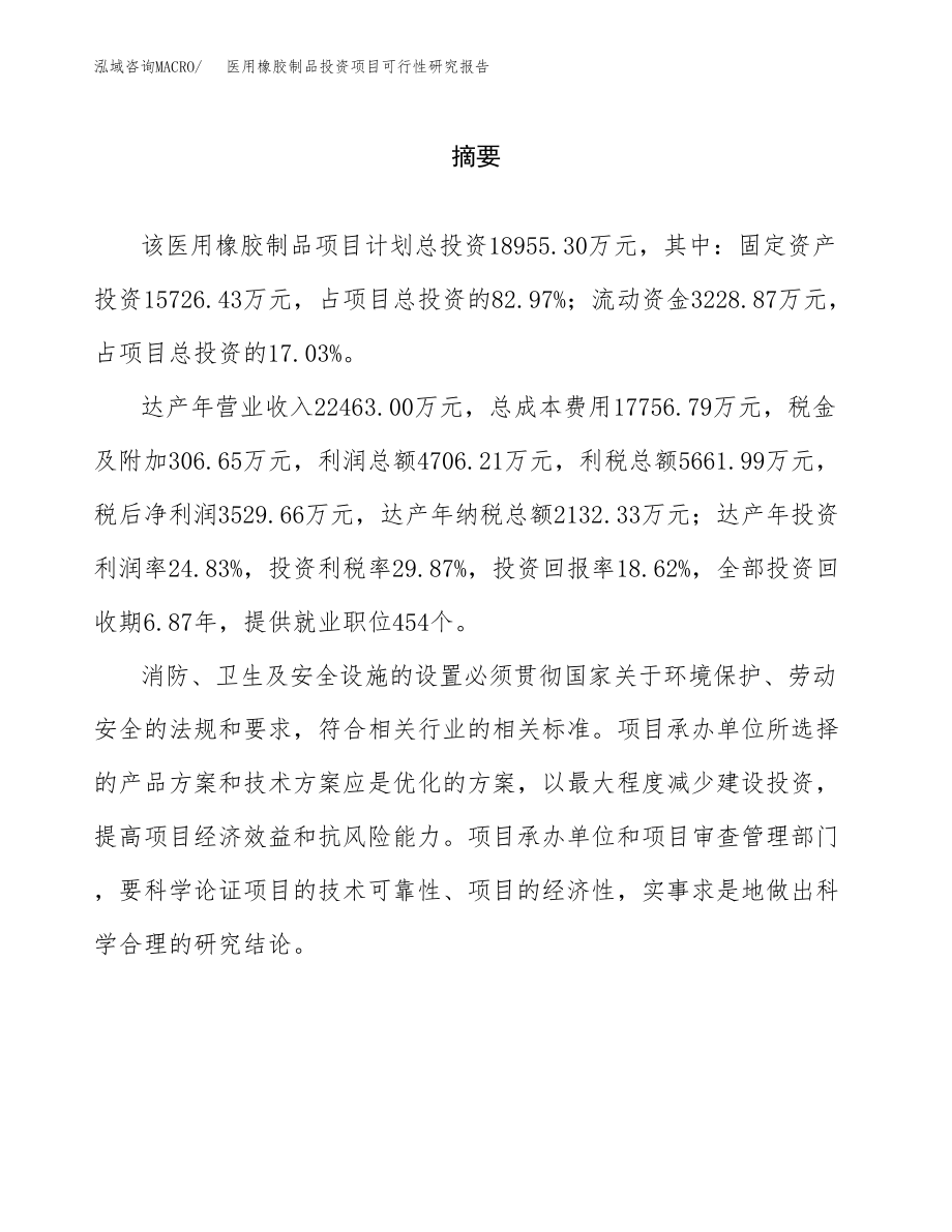 医用橡胶制品投资项目可行性研究报告(参考模板分析).docx_第2页