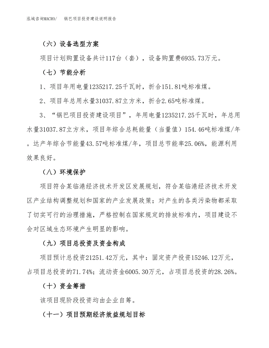 锅巴项目投资建设说明报告.docx_第2页