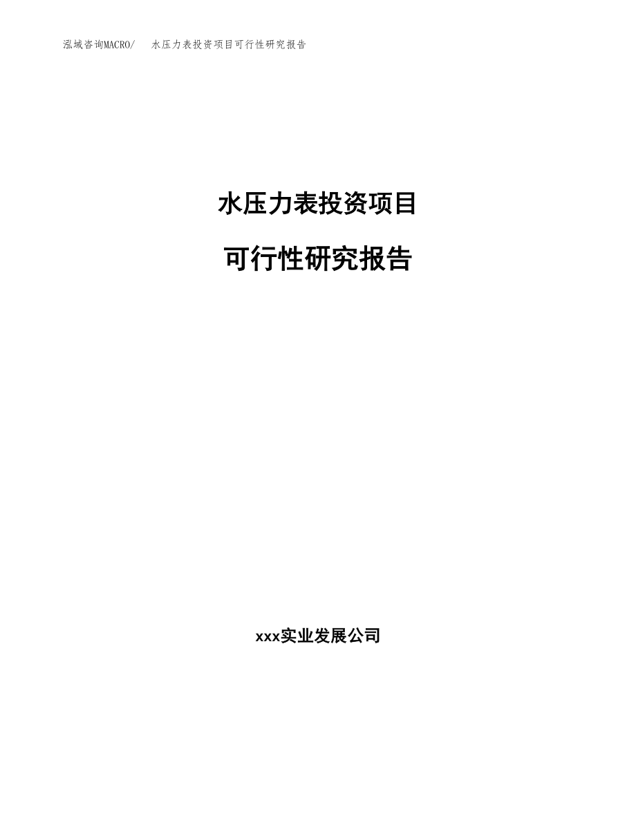 水压力表投资项目可行性研究报告(参考模板分析).docx_第1页