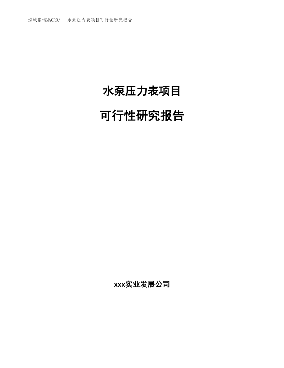 水泵压力表项目可行性研究报告（投资建厂申请）_第1页