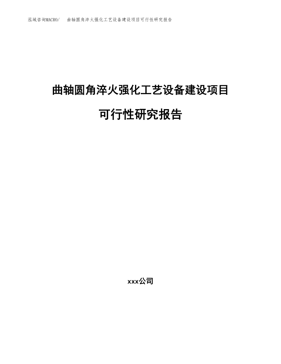 曲轴圆角淬火强化工艺设备建设项目可行性研究报告模板               （总投资16000万元）_第1页