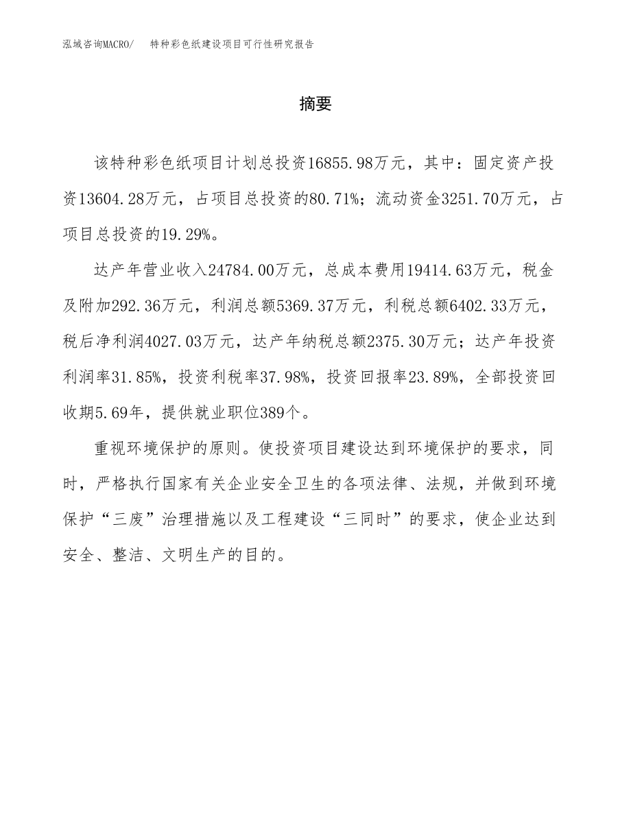 特种彩色纸建设项目可行性研究报告模板               （总投资17000万元）_第2页