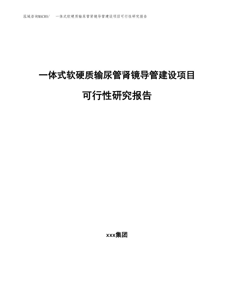 一体式软硬质输尿管肾镜导管建设项目可行性研究报告模板               （总投资6000万元）_第1页