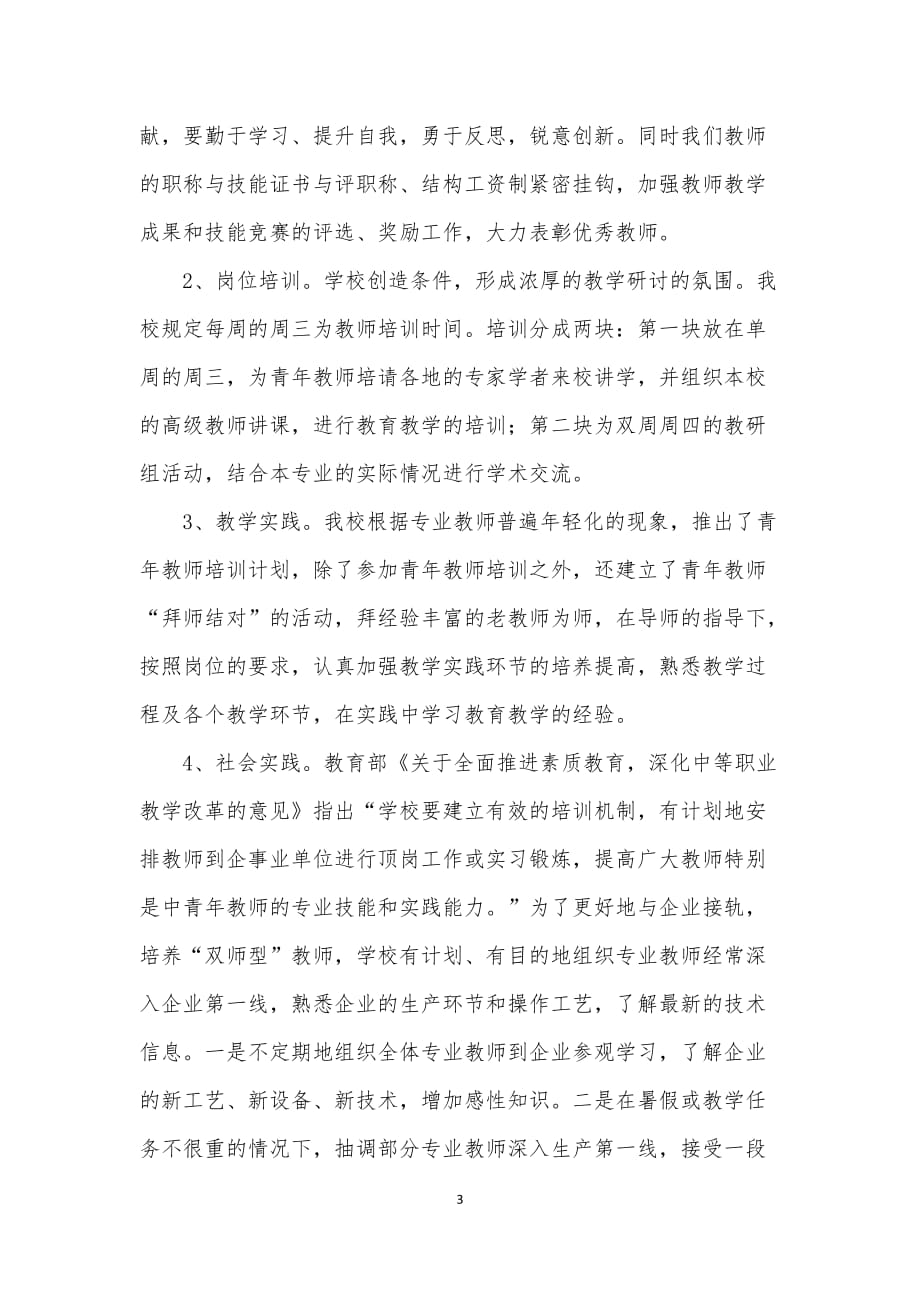 双师型教师培养计划资料_第3页