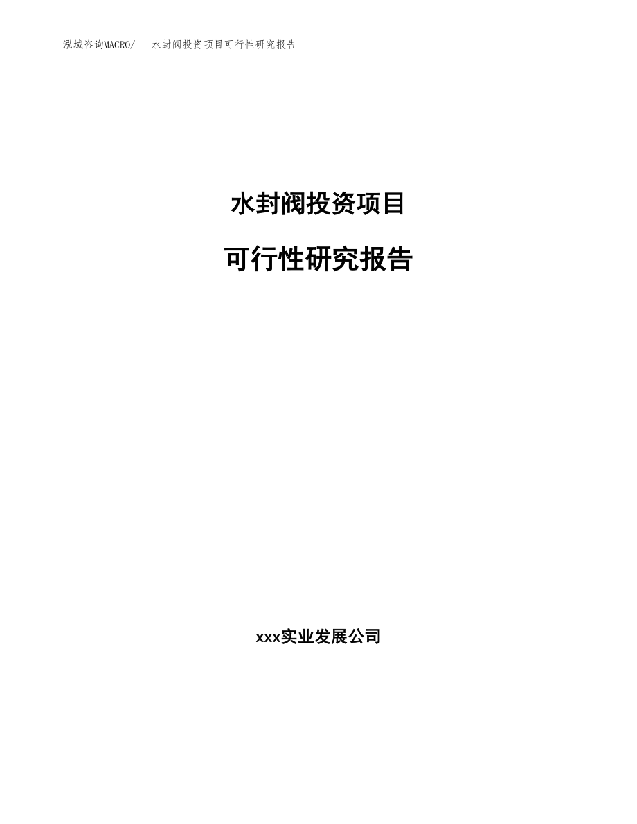 水封阀投资项目可行性研究报告(参考模板分析).docx_第1页