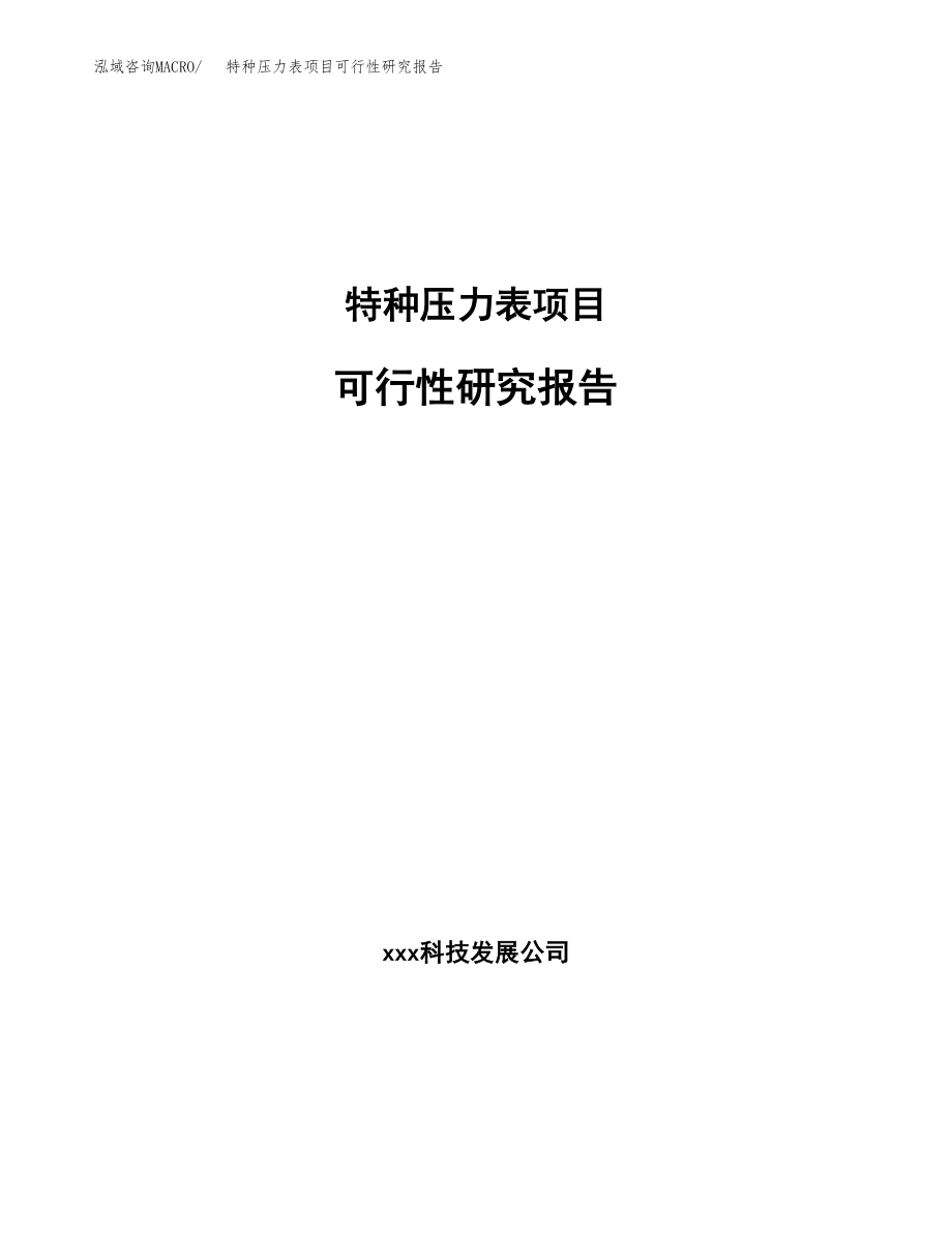 特种压力表项目可行性研究报告（投资建厂申请）_第1页