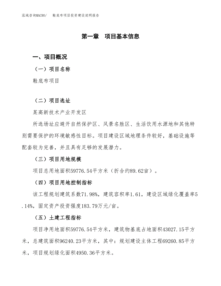 鞋底布项目投资建设说明报告.docx_第1页