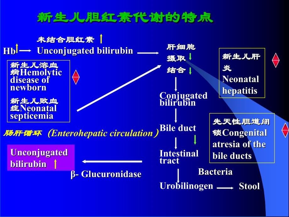 新生儿黄疸的诊断与治疗分析_第5页