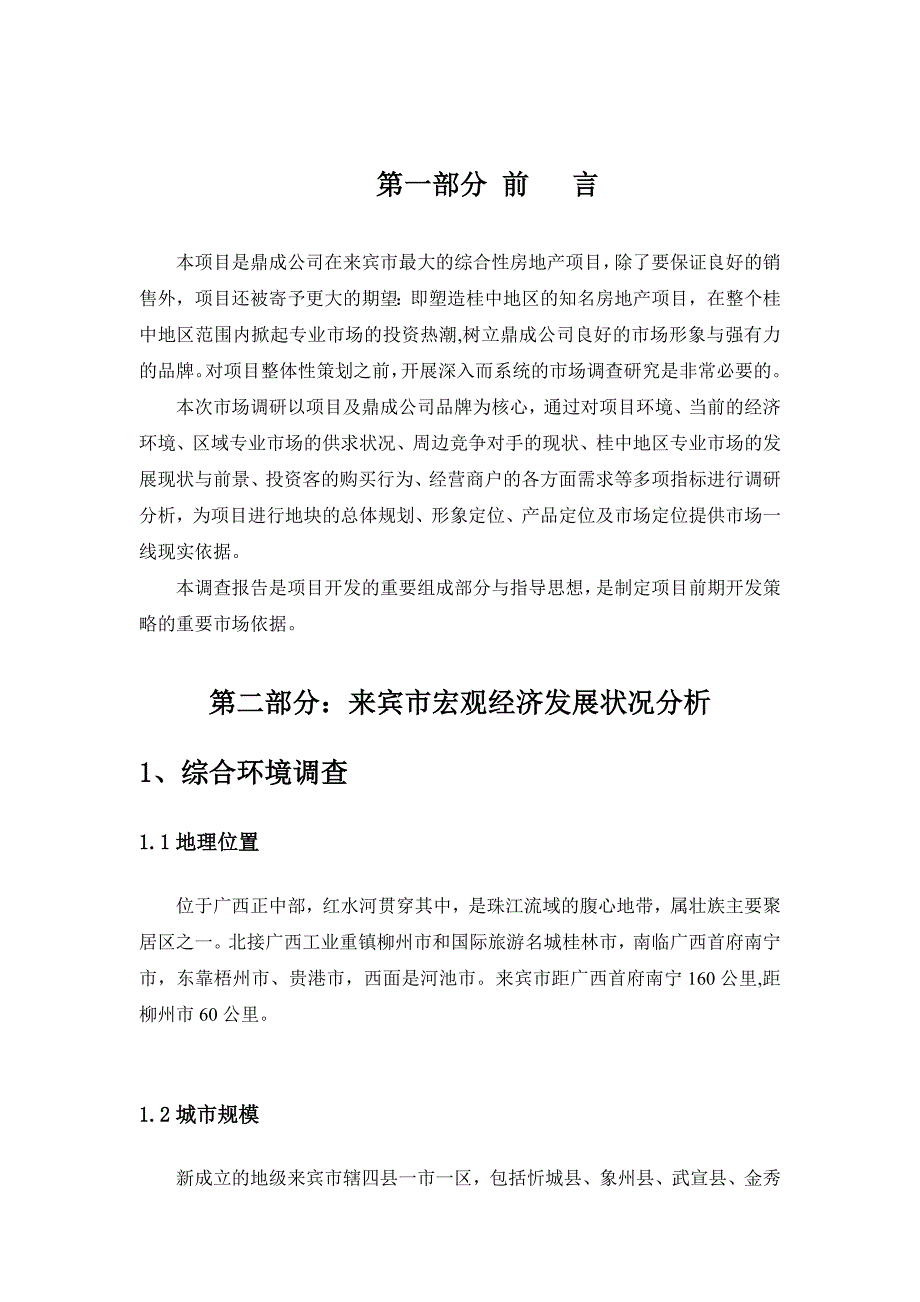 广西“中商贸城”前期策划报告_第2页