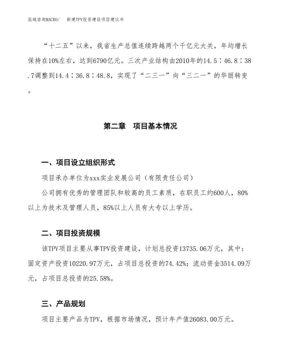 新建TPV投资建设项目建议书参考模板.docx_第5页