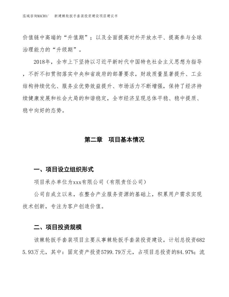 新建棘轮扳手套装投资建设项目建议书参考模板.docx_第5页