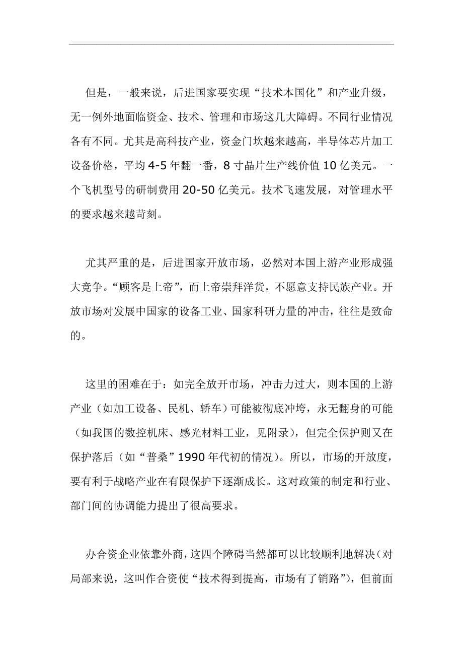 发展战略产业的问题_第5页