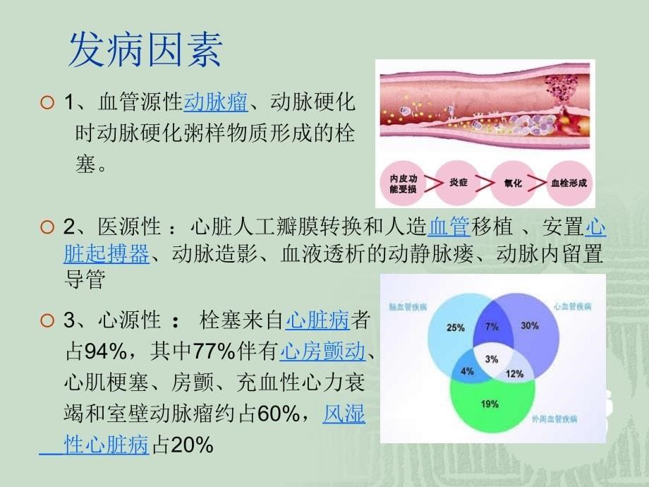 下肢动脉血栓相关知识剖析_第5页