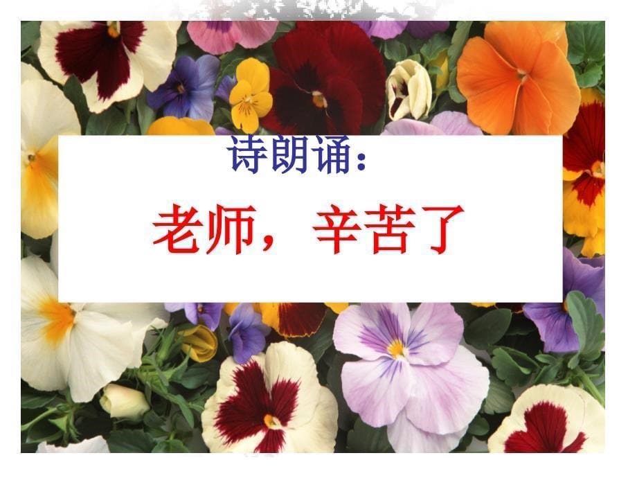 主题班会—老师,节日快乐_第5页