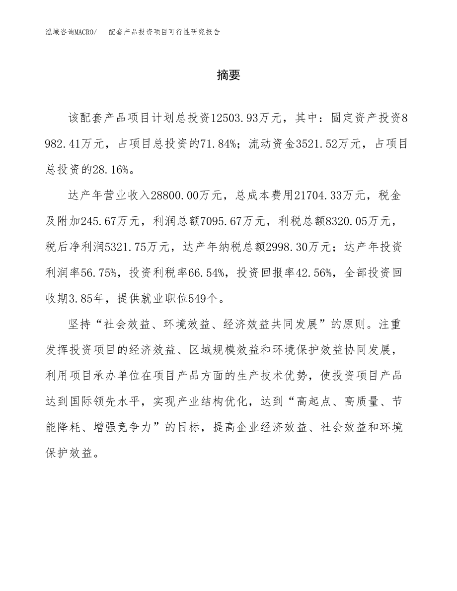 配套产品投资项目可行性研究报告(参考模板分析).docx_第2页