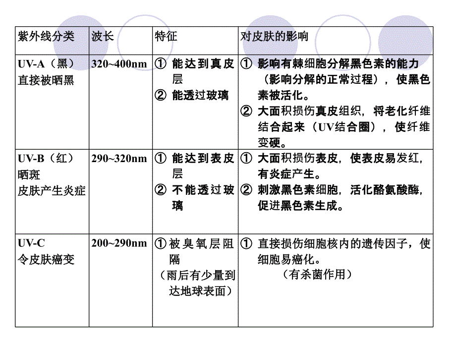 夏日护肤_第4页