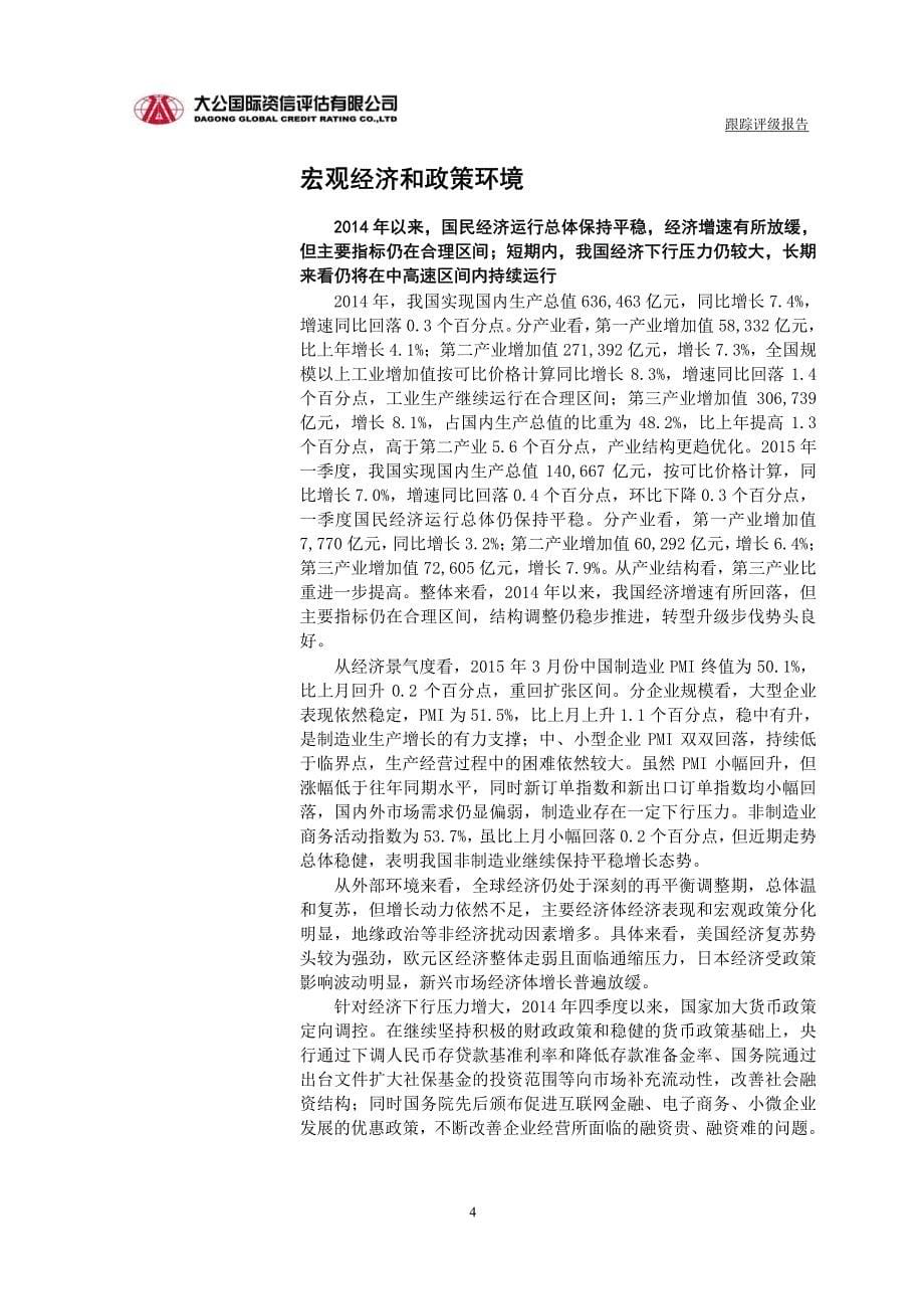 新华联控股有限公司主体与相关债项2015年度跟踪评级报告[002]_第5页