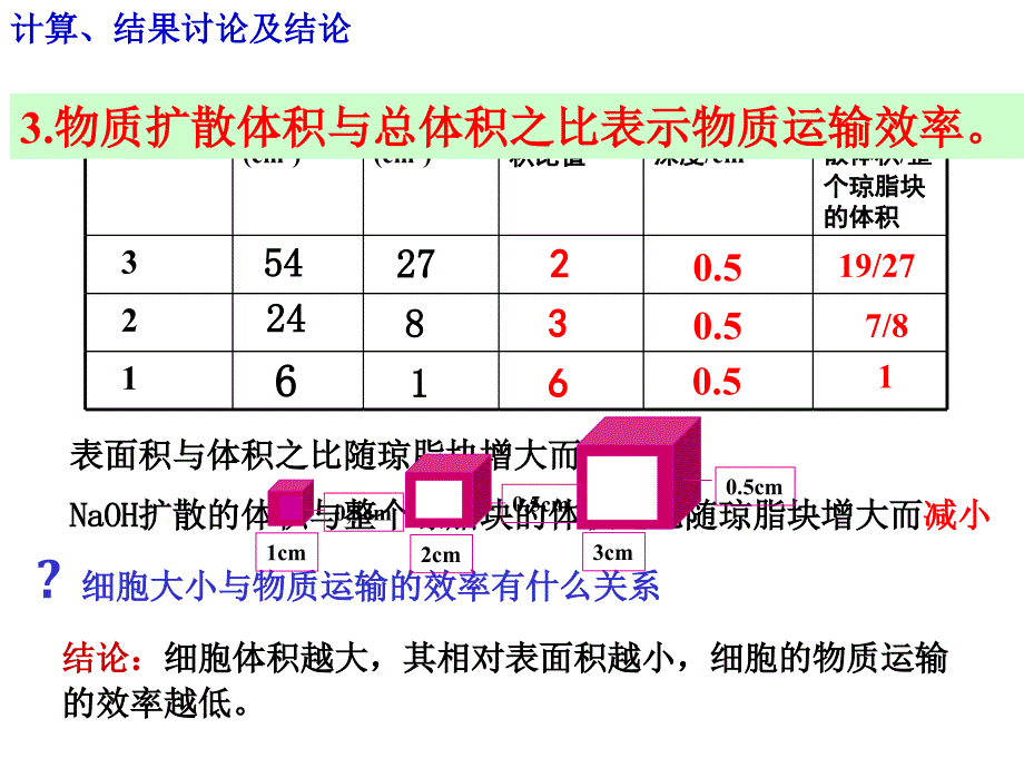 2019细胞增殖课件第一轮复习公开课(第一课时 (1)_第4页