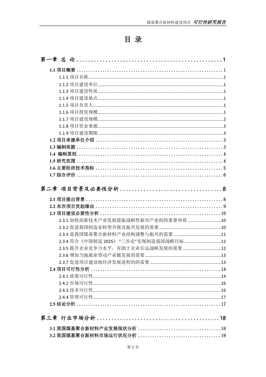 煤基聚合新材料项目可行性研究报告【申请定稿】_第2页