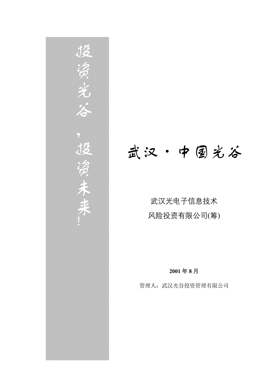 电子信息技术投资公司运作方案_第1页