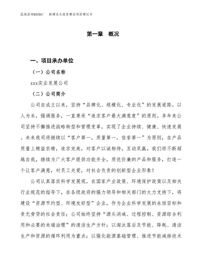 新建龙头投资建设项目建议书参考模板.docx