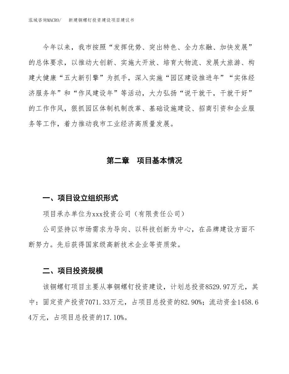 新建铜螺钉投资建设项目建议书参考模板.docx_第5页