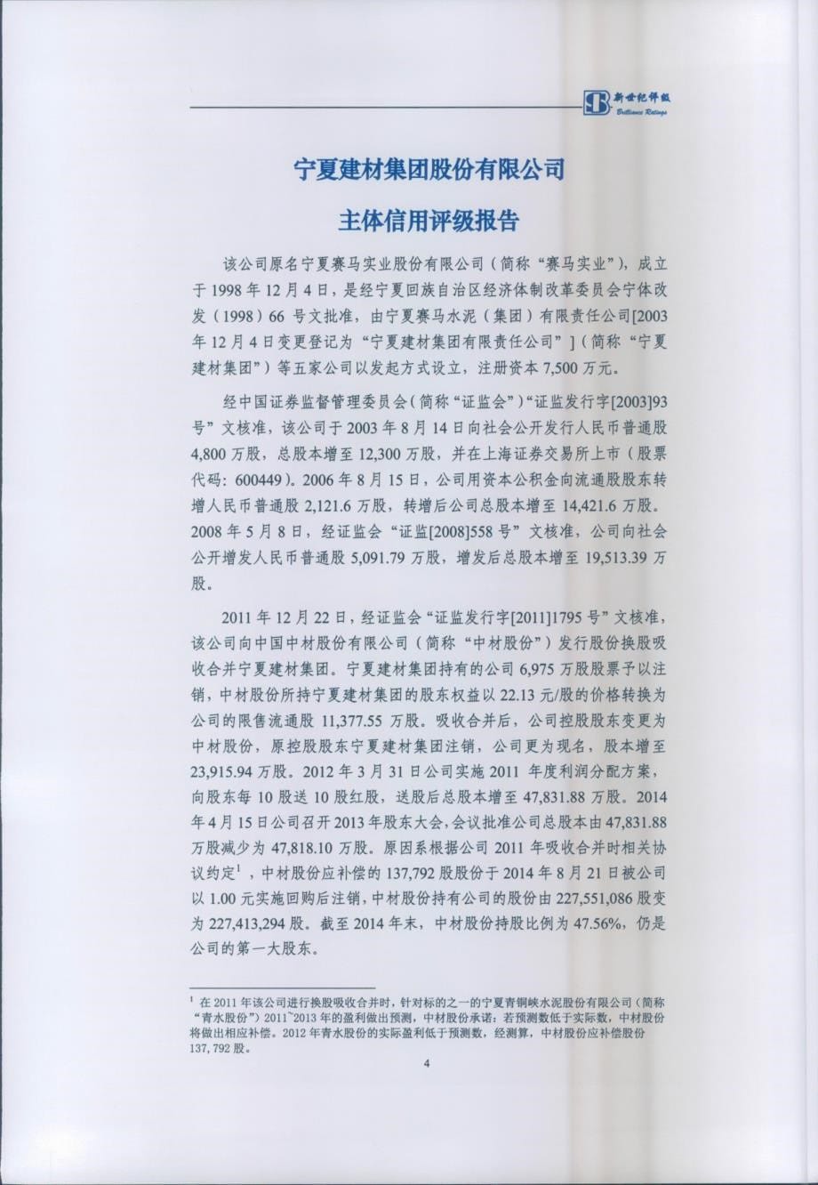 宁夏建材集团股份有限公司主体信用评级报告及跟踪评级安排_第5页