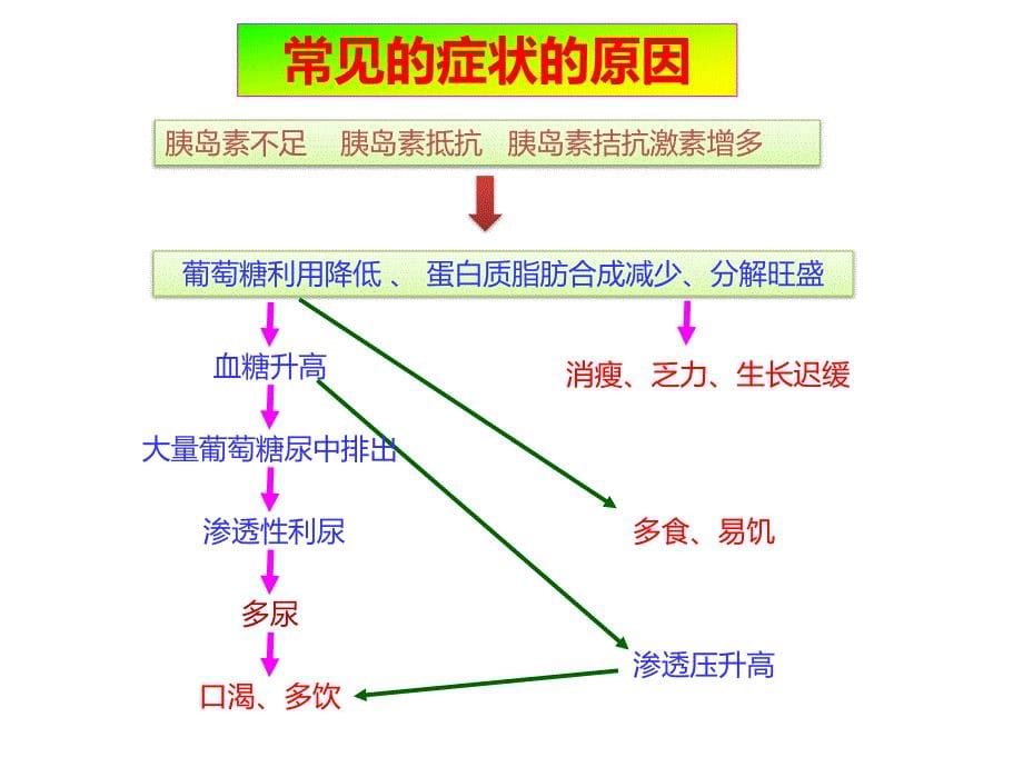 糖尿病-概述_第5页