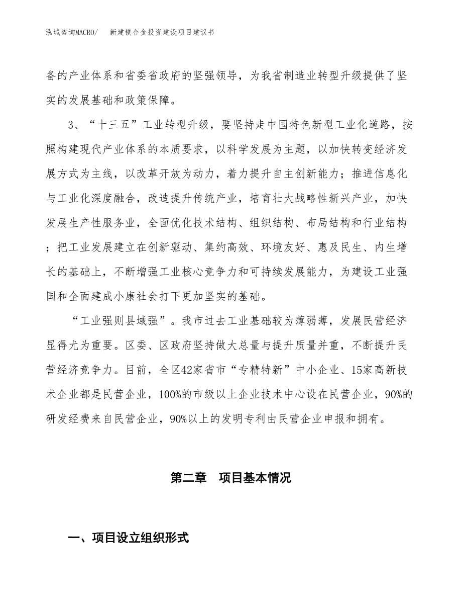 新建镁合金投资建设项目建议书参考模板.docx_第5页