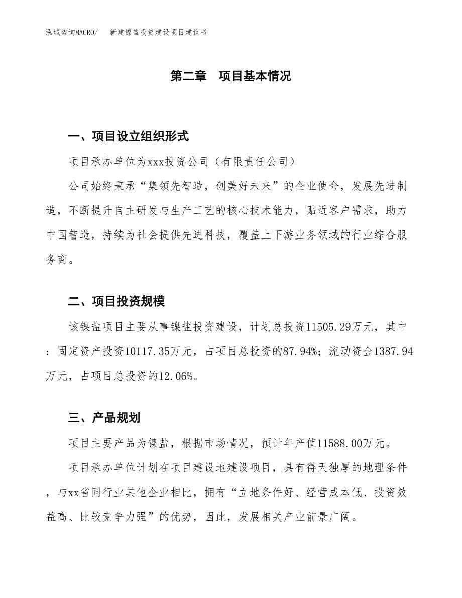 新建镍盐投资建设项目建议书参考模板.docx_第5页