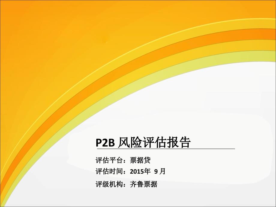 p2b风险评估报告_第1页