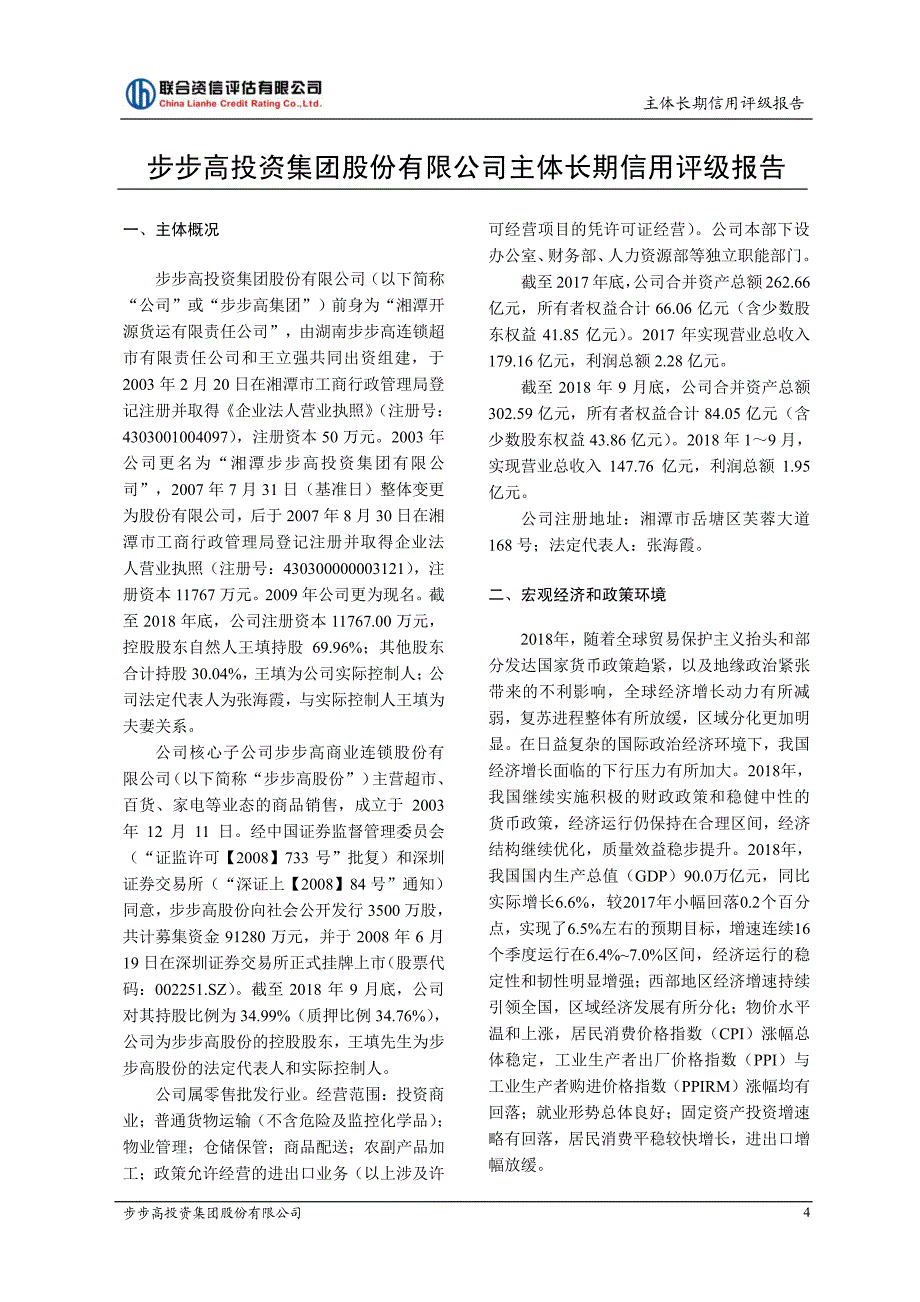 步步高投资集团股份有限公司2019主体信用评级报告及跟踪评级安排_第4页