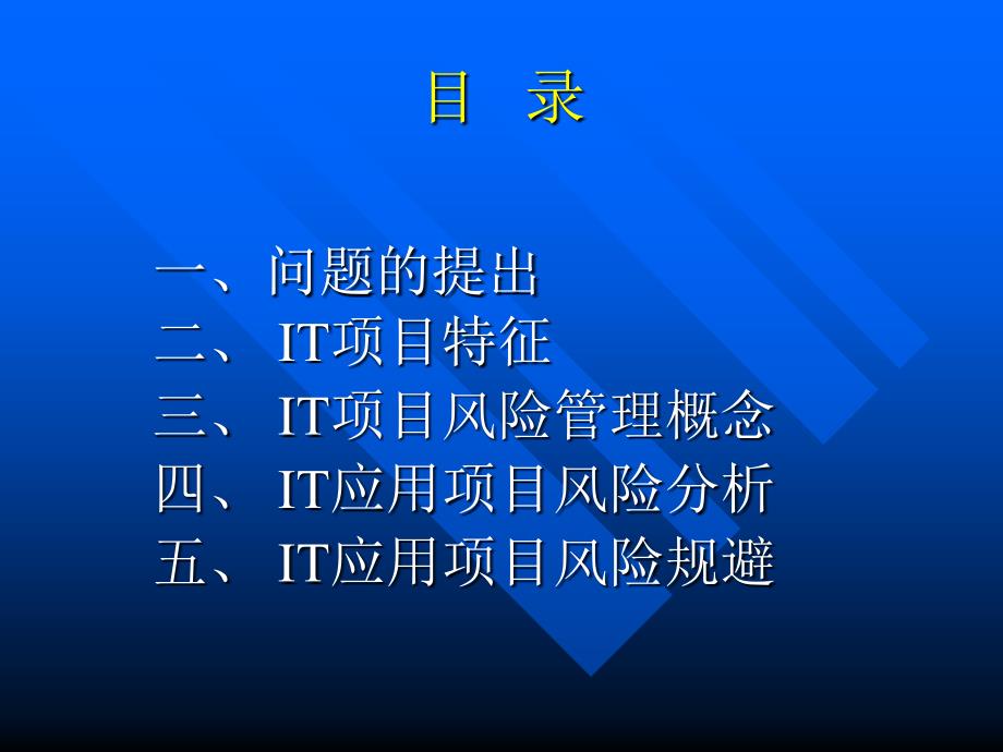 it项目风险管理研究报告_第2页