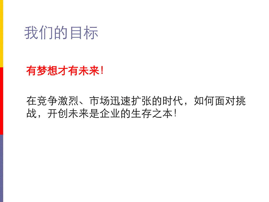 南极人品牌成功之路概述_第3页