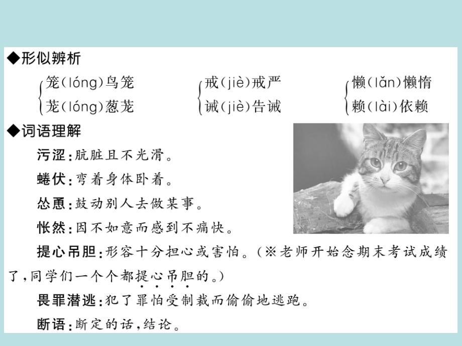 2019年秋人教部编版七年级上册语文（青岛）习题课件：16 猫_郑振铎(共24张PPT)_第3页