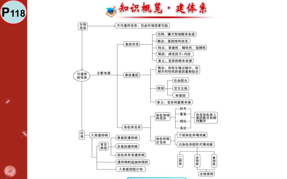 基因突变与基因重组简介_第1页