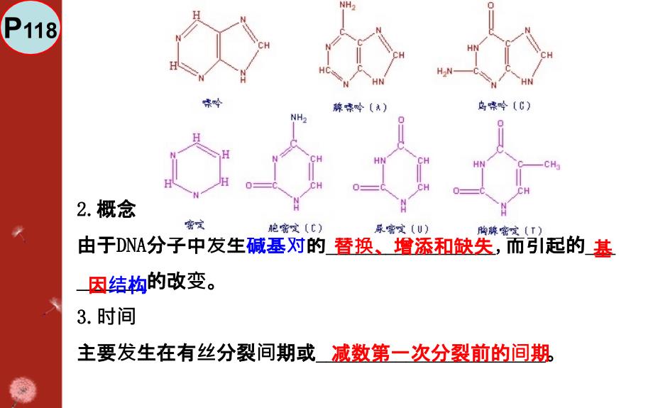 基因突变与基因重组简介_第4页