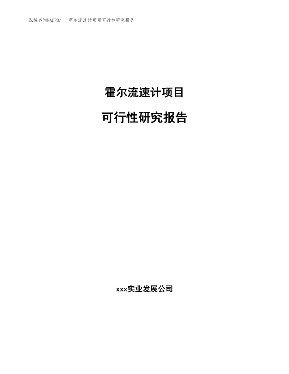 霍尔流速计项目可行性研究报告（总投资19000万元）.docx_第1页